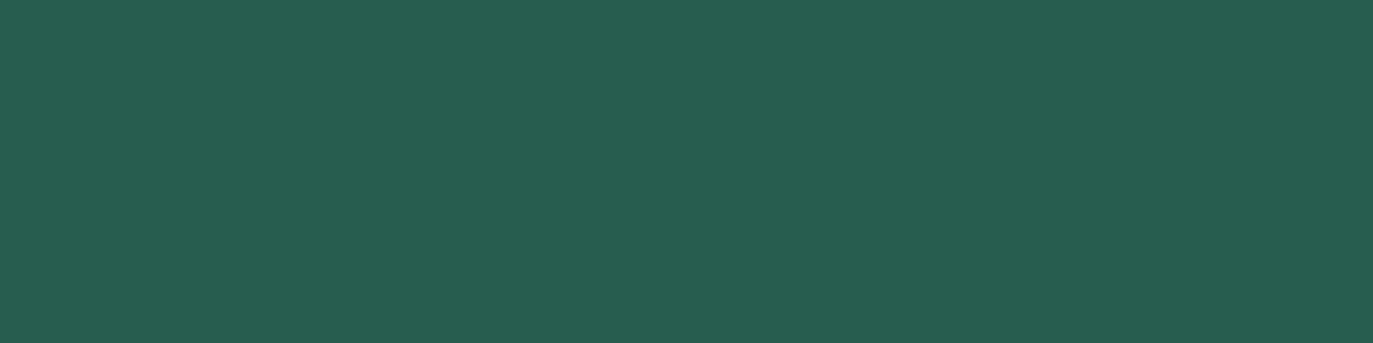 Background image site